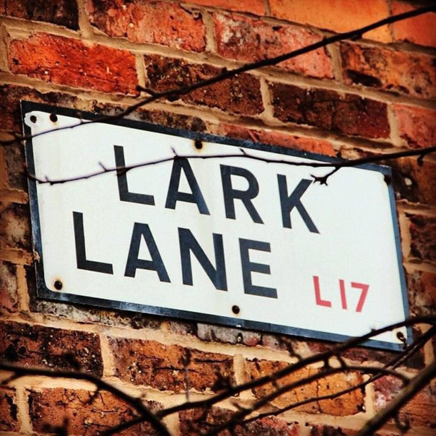Holiday home Spacious & Homely Near Lark Lane & Sefton Park *